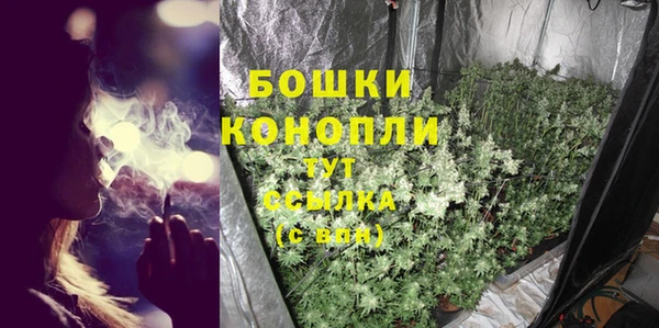 ГАЛЛЮЦИНОГЕННЫЕ ГРИБЫ Козельск