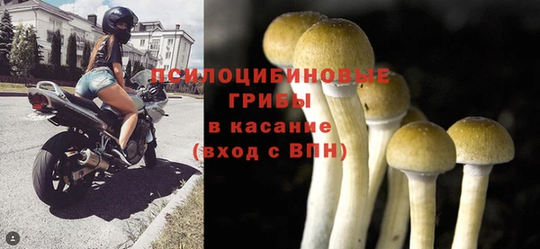 ГАЛЛЮЦИНОГЕННЫЕ ГРИБЫ Козельск